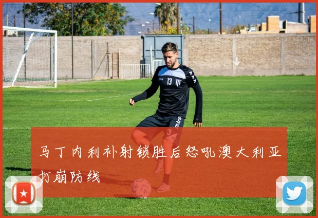 马丁内利补射锁胜后怒吼澳大利亚打崩防线