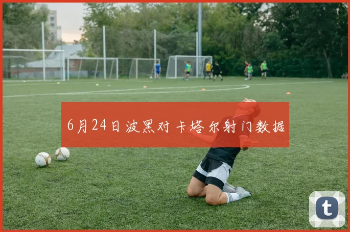 6月24日波黑对卡塔尔射门数据