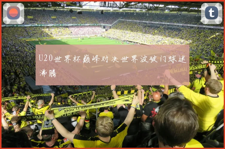 U20世界杯巅峰对决世界波破门球迷沸腾