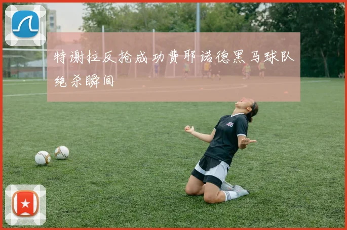 特谢拉反抢成功费耶诺德黑马球队绝杀瞬间