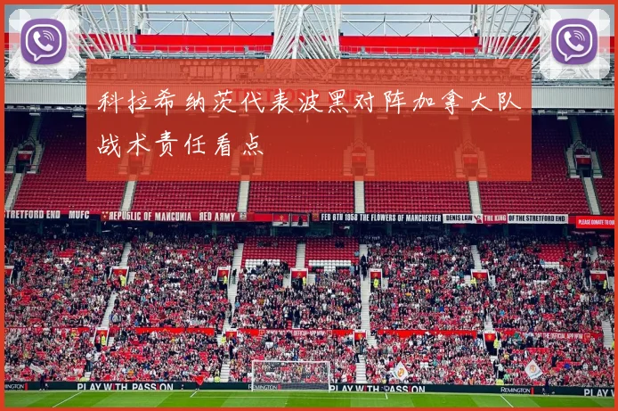 科拉希纳茨代表波黑对阵加拿大队战术责任看点