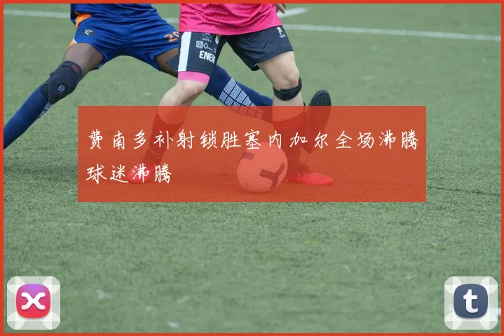 费南多补射锁胜塞内加尔全场沸腾球迷沸腾