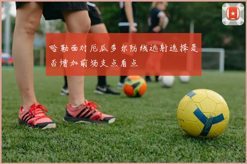 哈勒面对厄瓜多尔防线远射选择是否增加前场支点看点