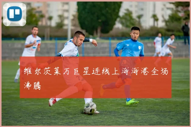 维尔茨莱万巨星连线上海海港全场沸腾
