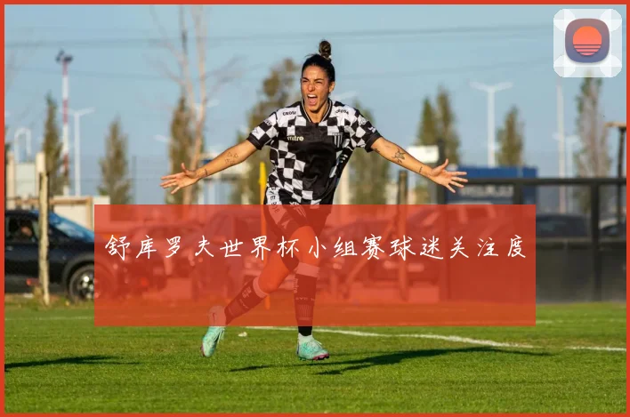 舒库罗夫世界杯小组赛球迷关注度
