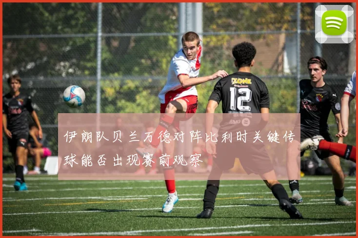 伊朗队贝兰万德对阵比利时关键传球能否出现赛前观察